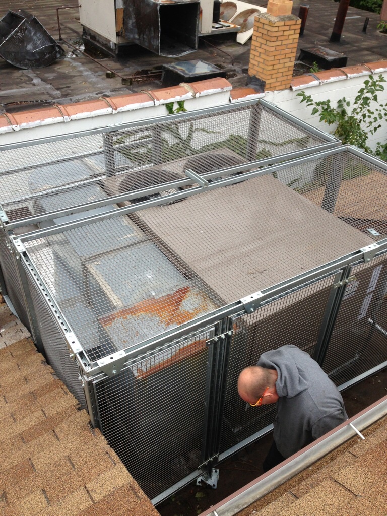 IMG 0045